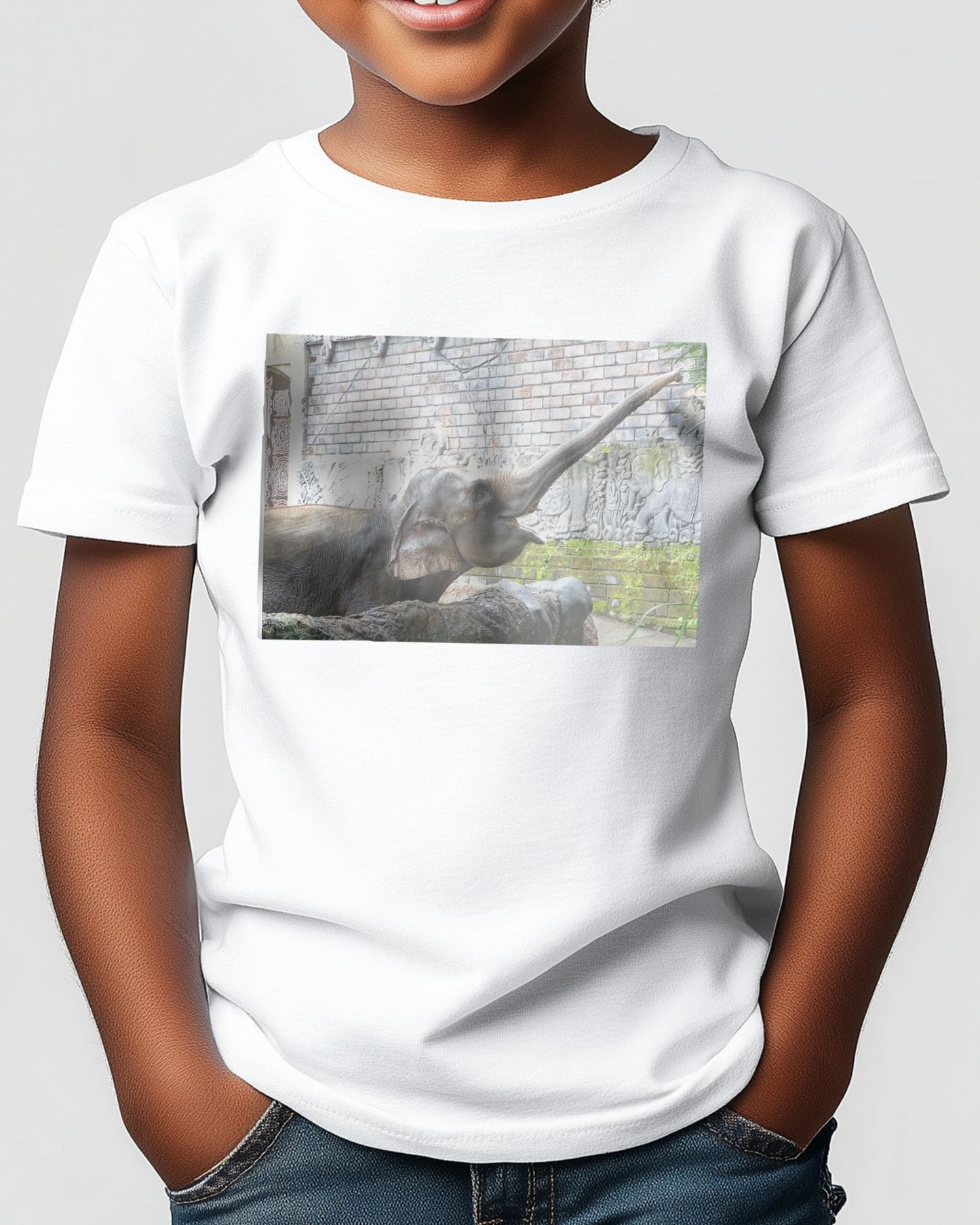 Animal 447 - @UPGallery