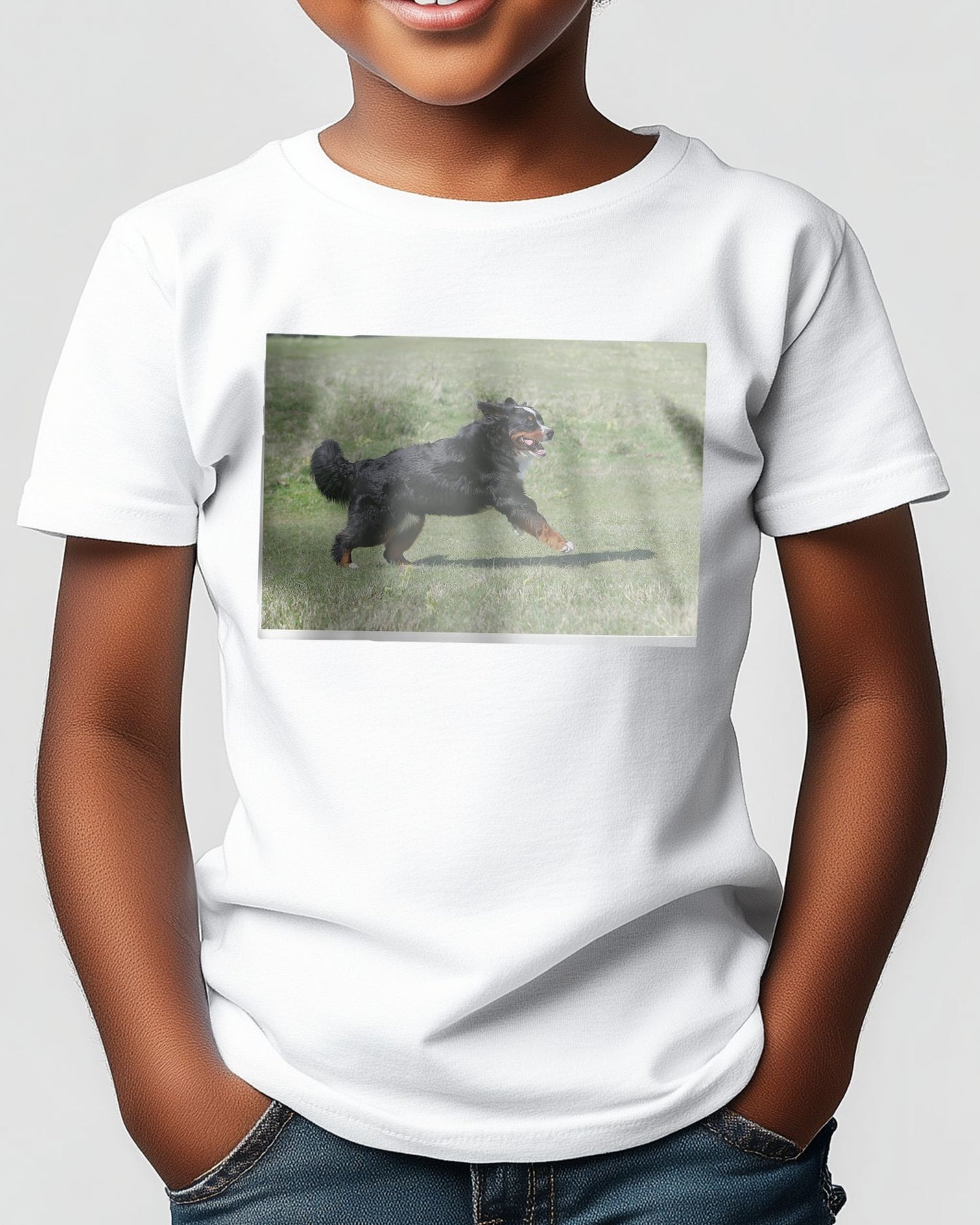 Bernese Mountain Dog - @chusna