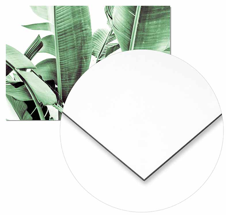 Banana Tree - @germanvalle