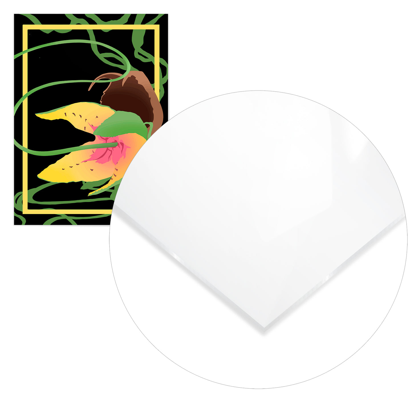 Black Carnivorous Plant - @curne