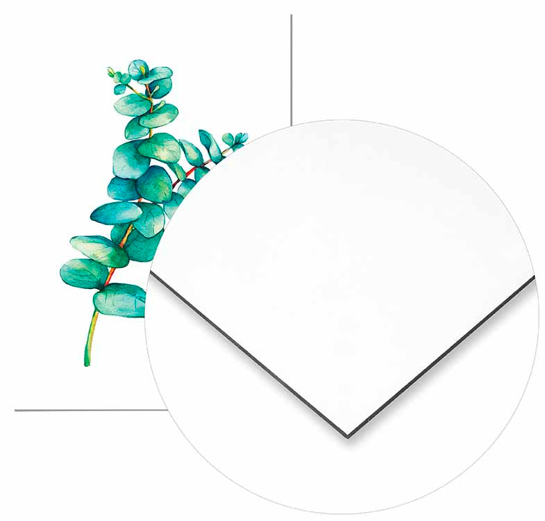 Eucaliptus - @germanvalle