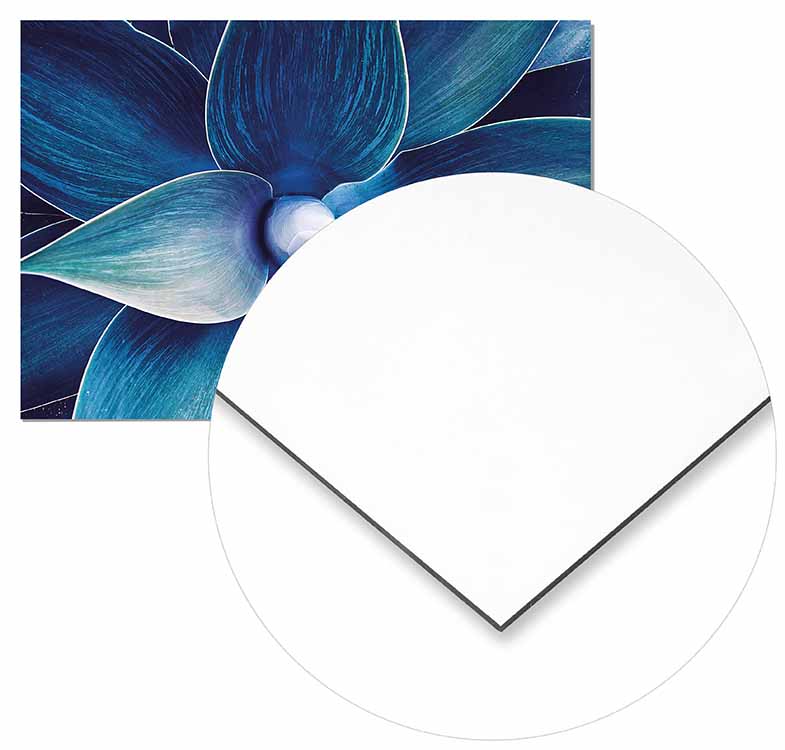 Flower Agave - @germanvalle