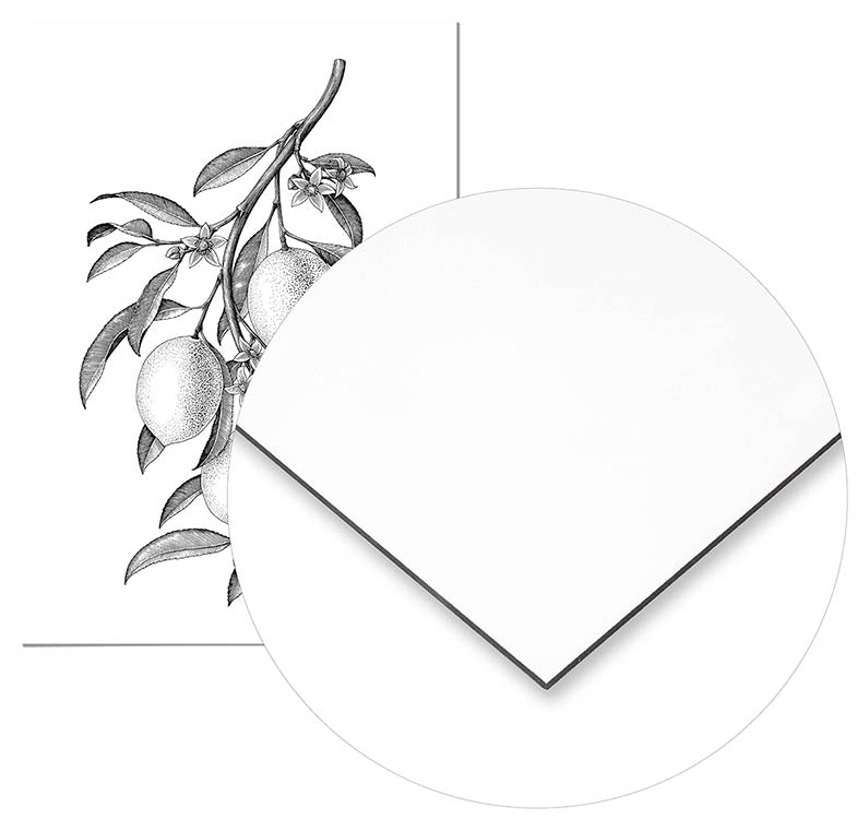 Lemon Tree - @jesusguedes