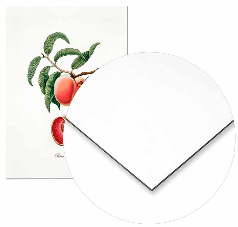 Vintage Peach - @germanvalle