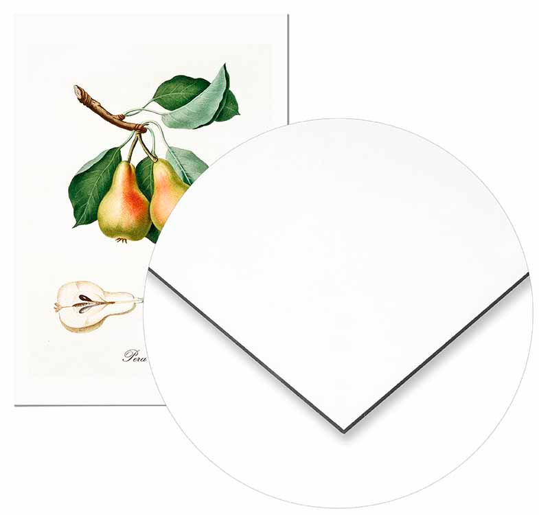 Vintage Pear - @germanvalle