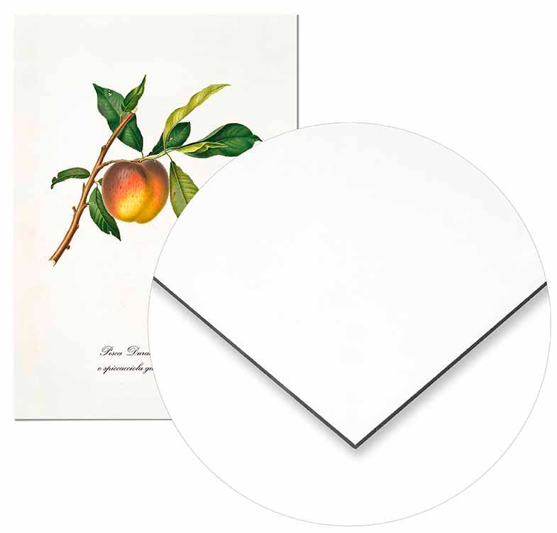 Vintage Yellow Peach - @germanvalle