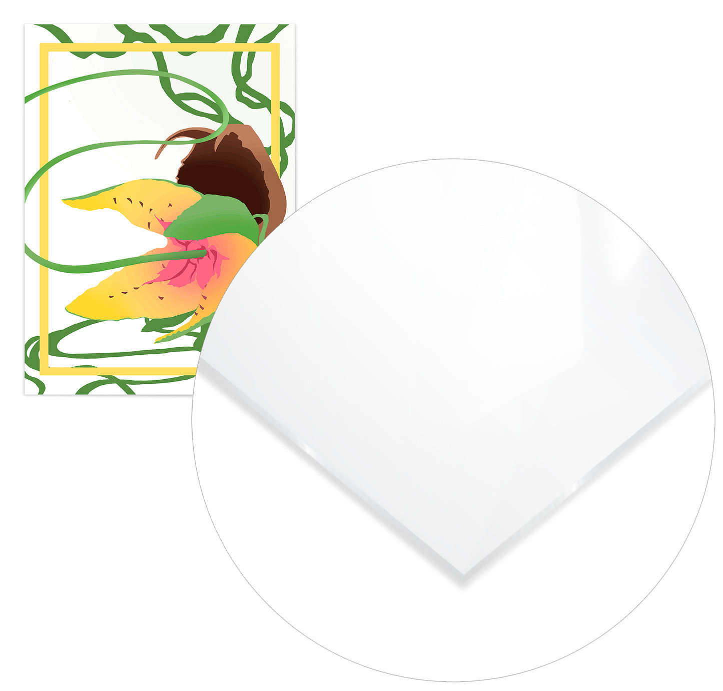 White Carnivorous Plant - @curne