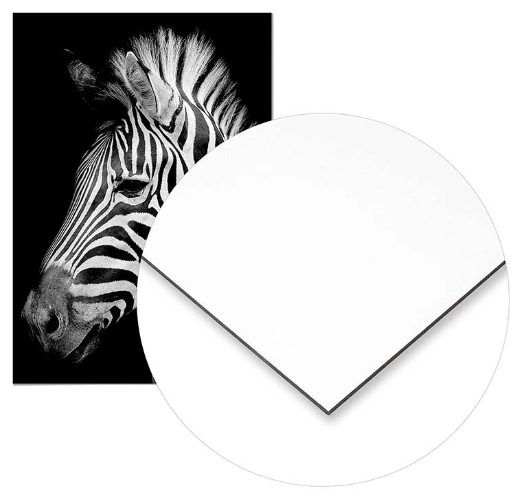 Zebra - @manuelramos