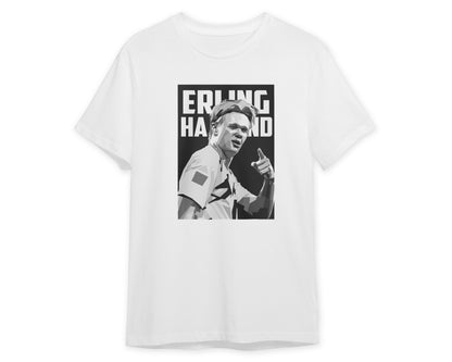 Erling Haaland1 - @PopArtMRenaldy