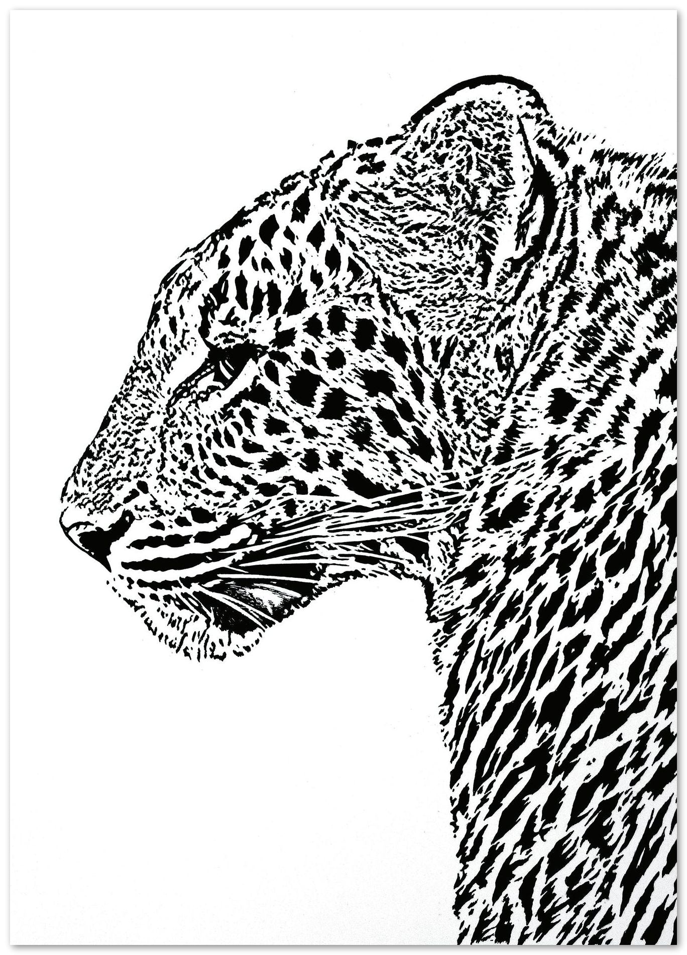 Leopardo 3 - @JuanAlcalÃ¡