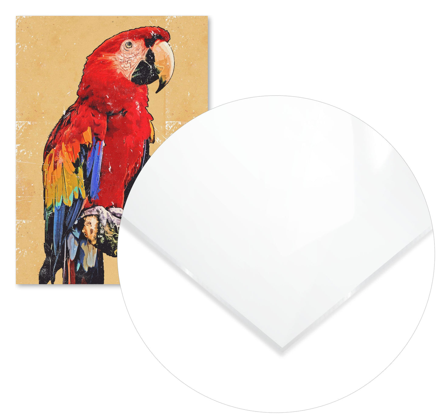 Red Scarlet Macaw Painting - @ColorizeStudio