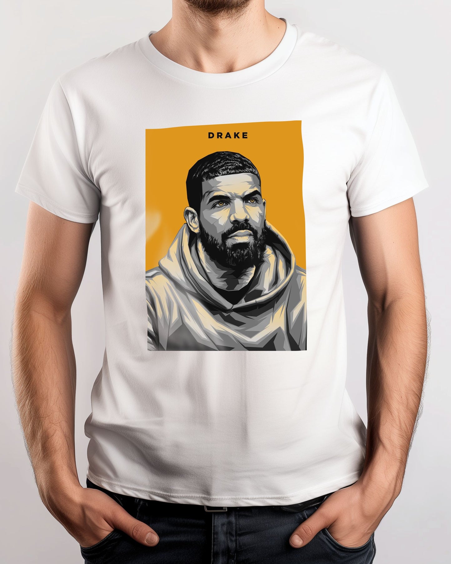 Drake Pop Art 2 - @LuckyDream