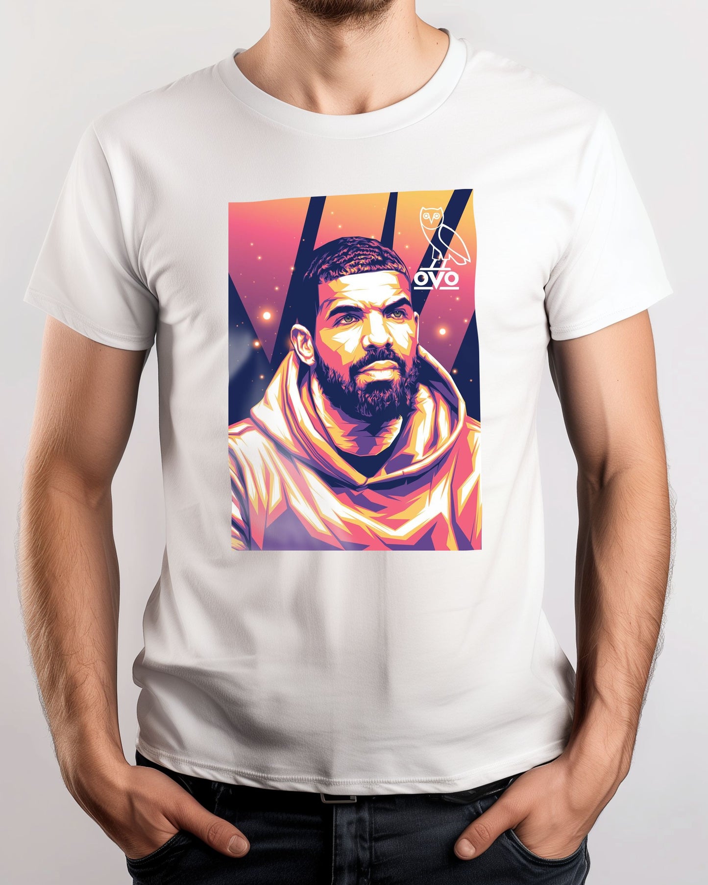 Drake Pop Art 3 - @LuckyDream