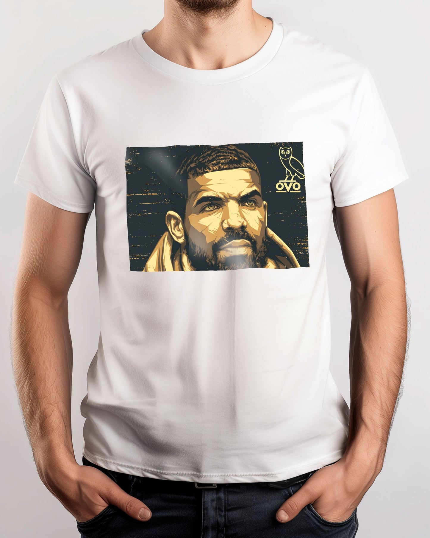 Drake Pop Art 9 - @LuckyDream