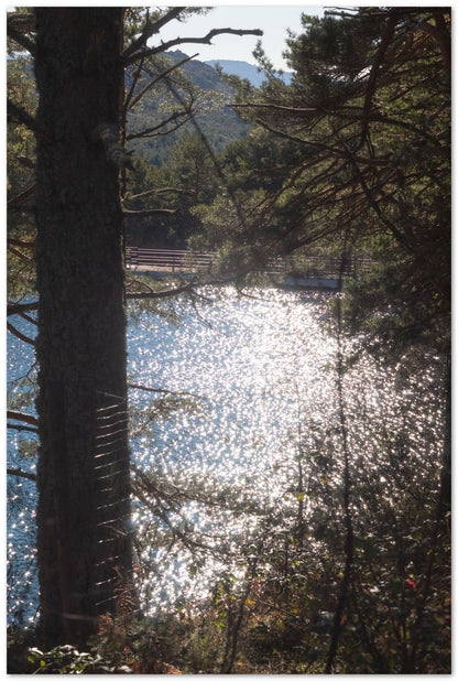 Los reflejos del lago en el bosque que dan un aurea nostÃ¡lgica - @filmload