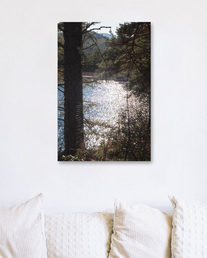 Los reflejos del lago en el bosque que dan un aurea nostÃ¡lgica - @filmload