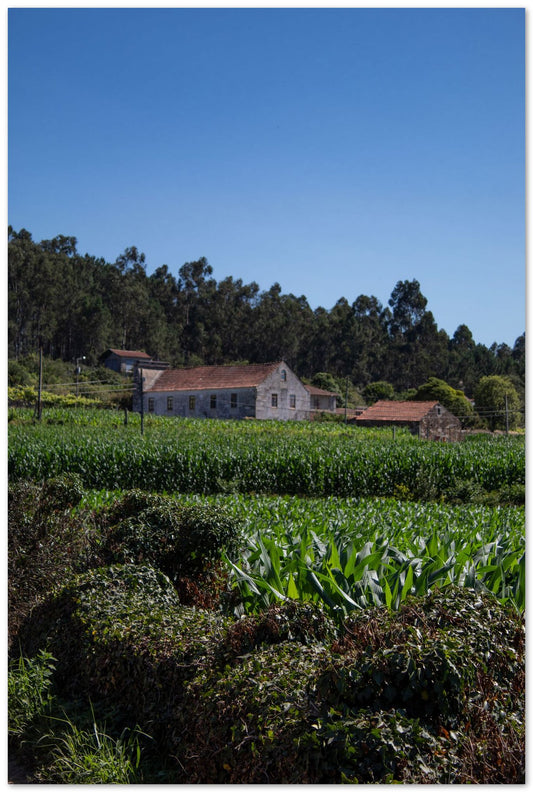 Casa del campo en mitad del camino - @filmload