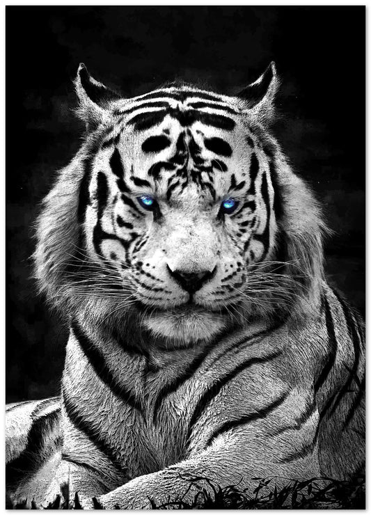 White Syberian Tiger blue eyes - @SyanArt