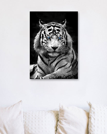 White Syberian Tiger blue eyes - @SyanArt