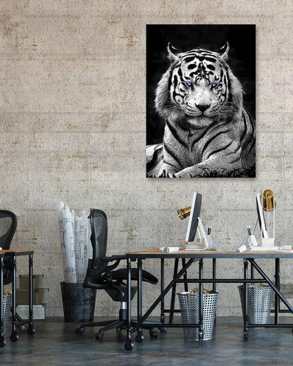 White Syberian Tiger blue eyes - @SyanArt