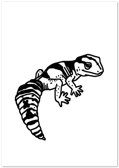 Gecko 2 - @JavierTovar