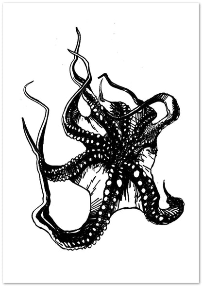 Octopus - @JavierTovar