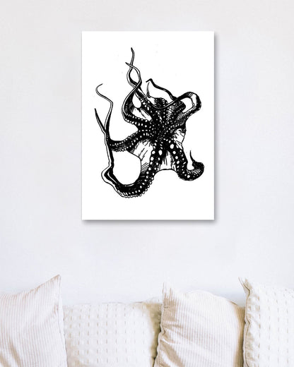 Octopus - @JavierTovar