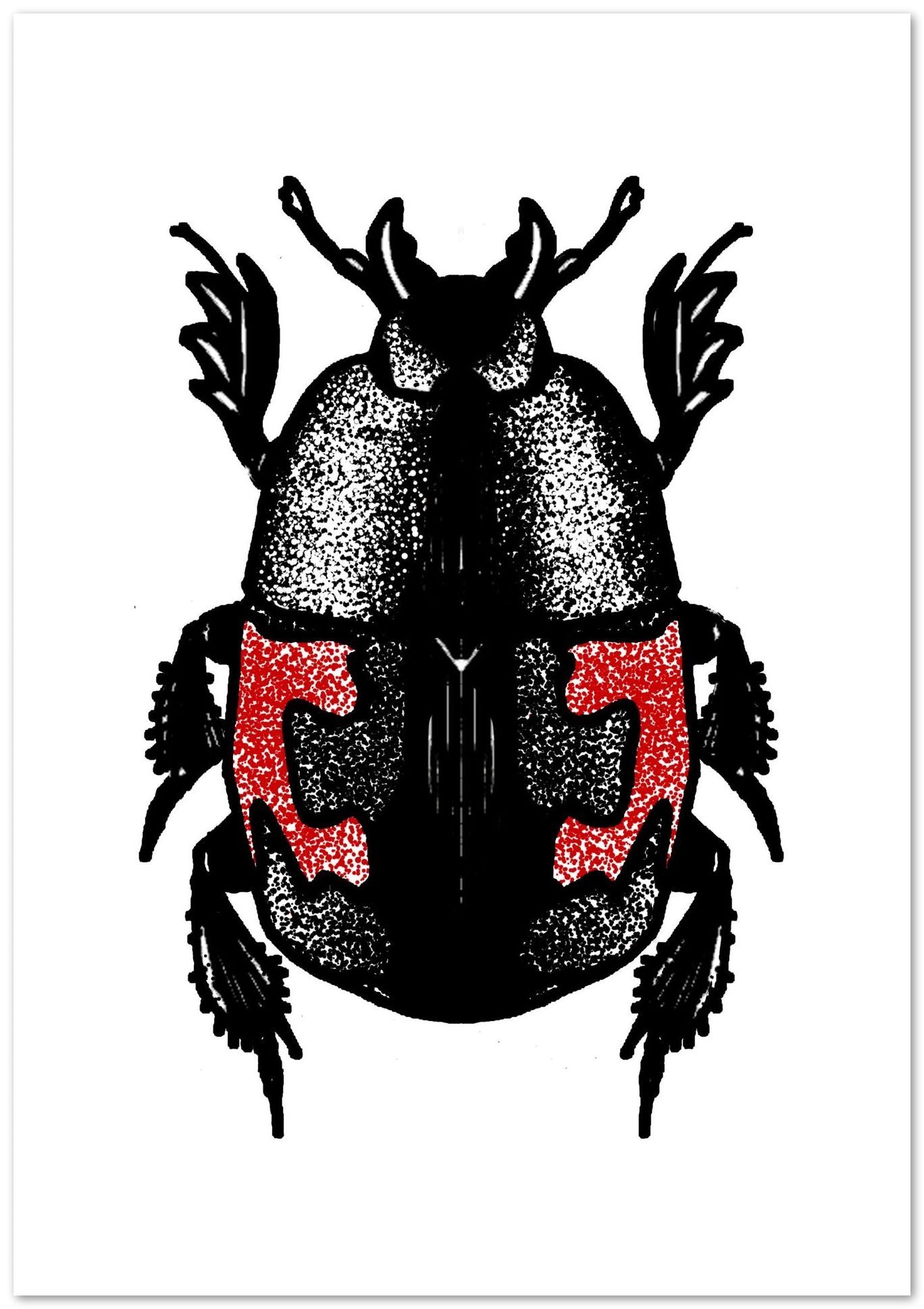 Escarabajo 1 - @JavierTovar