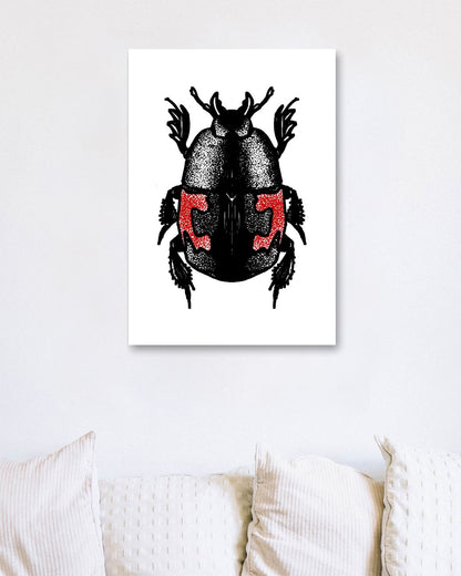 Escarabajo 1 - @JavierTovar