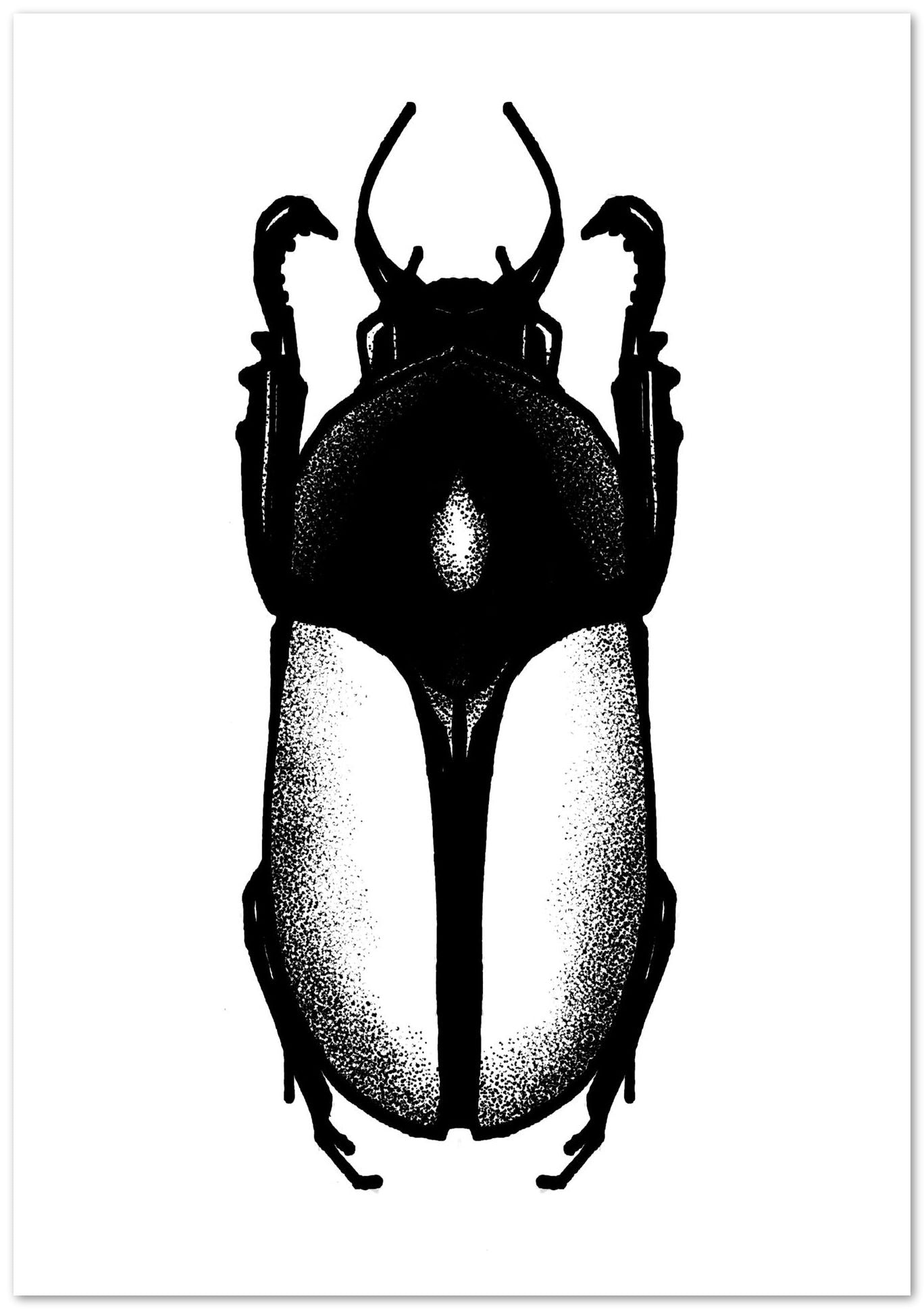 Escarabajo 2 - @JavierTovar