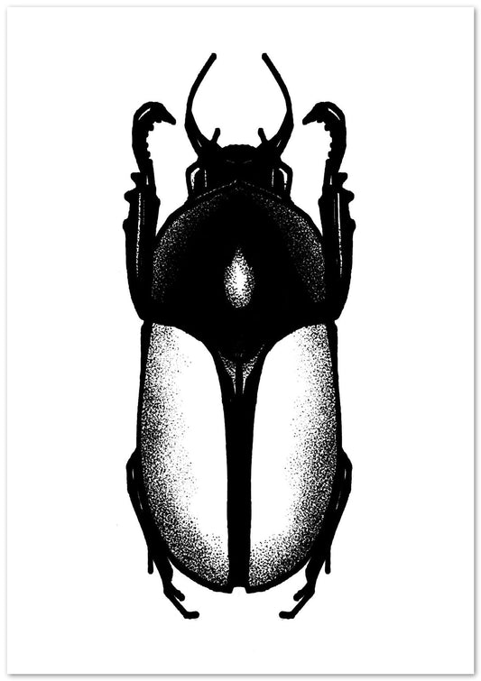 Escarabajo 2 - @JavierTovar
