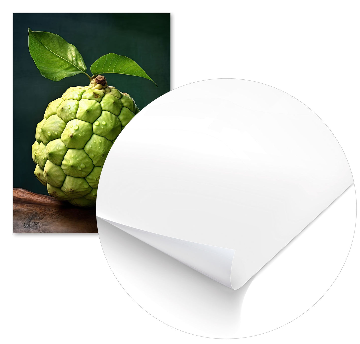 Custard Apple - @ZakeDjelevic