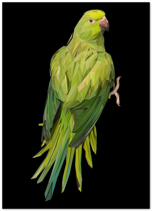 parrots bird - @Artnesia