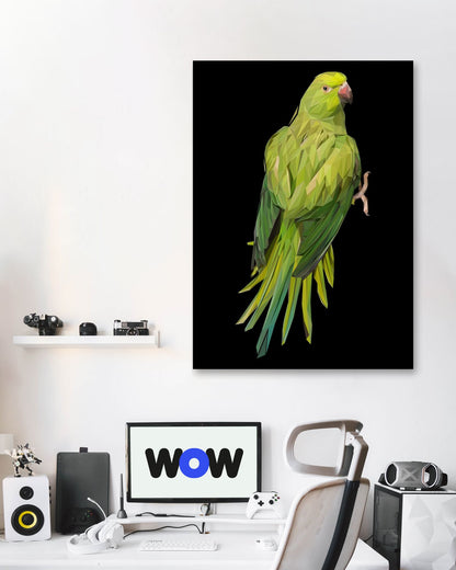 parrots bird - @Artnesia