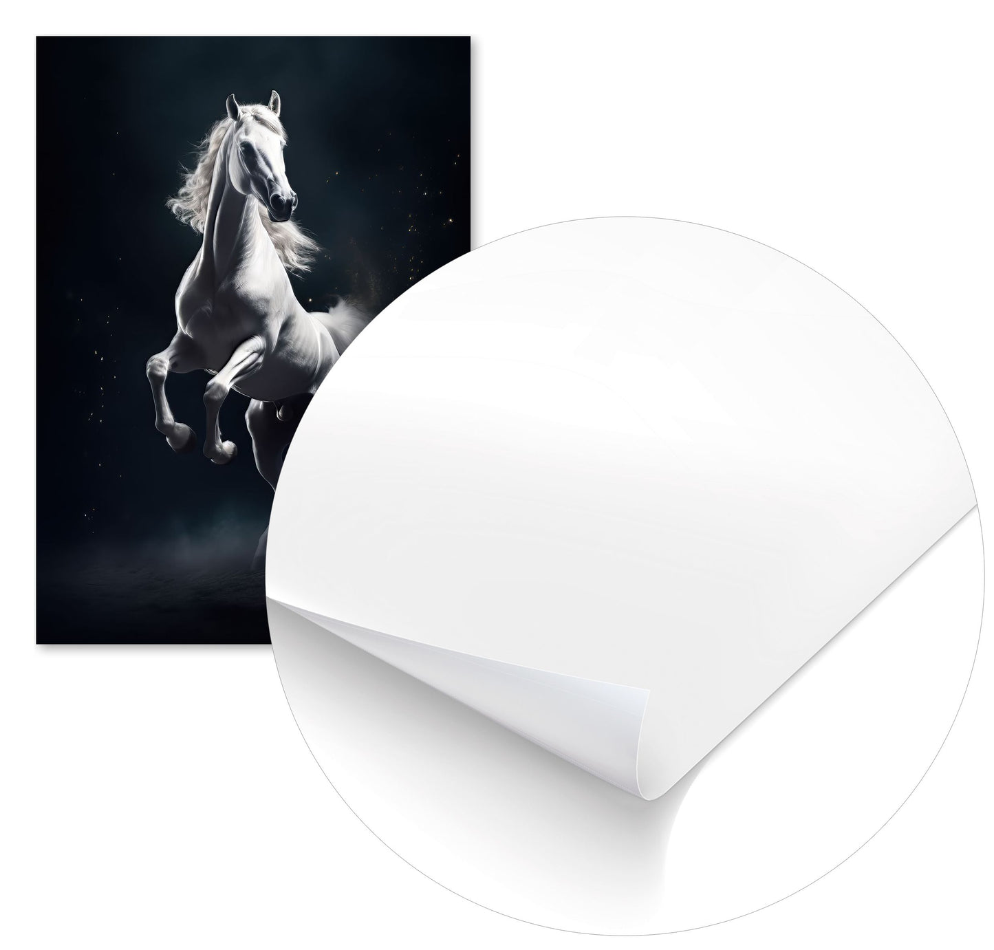 Beautiful white horses - @Mobilunik