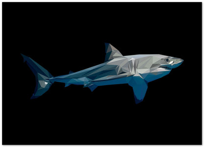 shark illustration  - @Artnesia