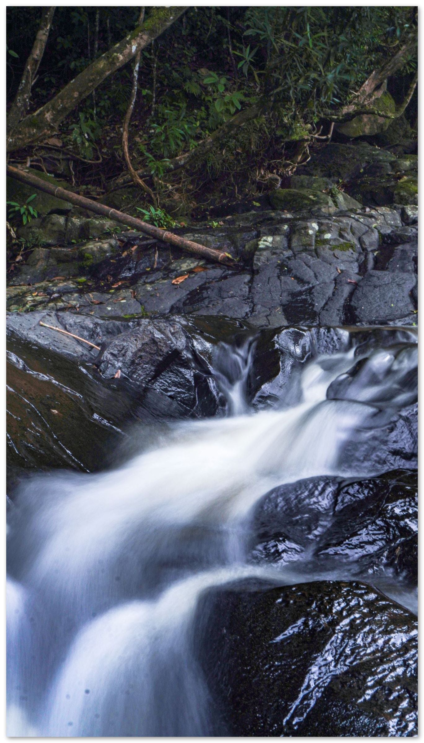 Fresh River Photography - @ColorizeStudio