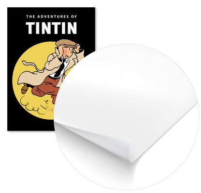 Tintin adventures cartoon - @pansodda