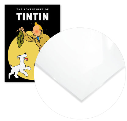 Tintin anime cartoon comic movies retro - @pansodda