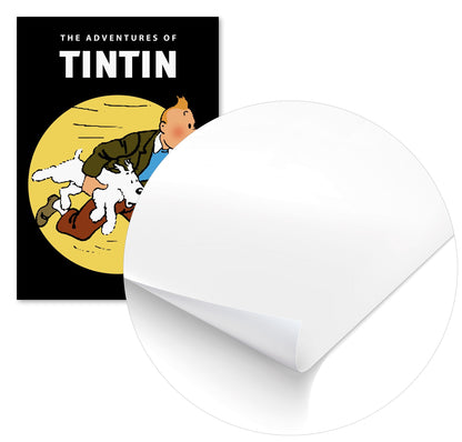 tintin adventures travel - @pansodda