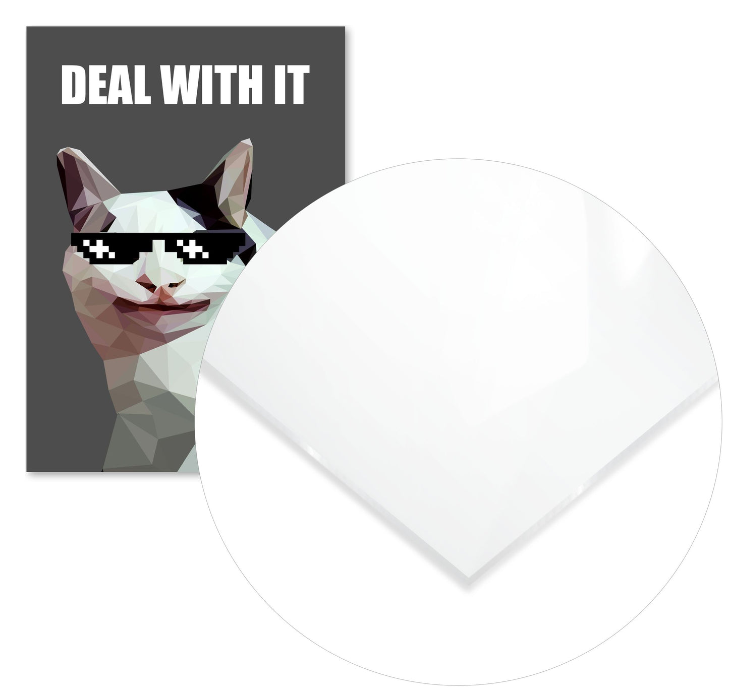 deal with it polite cat  - @Artnesia