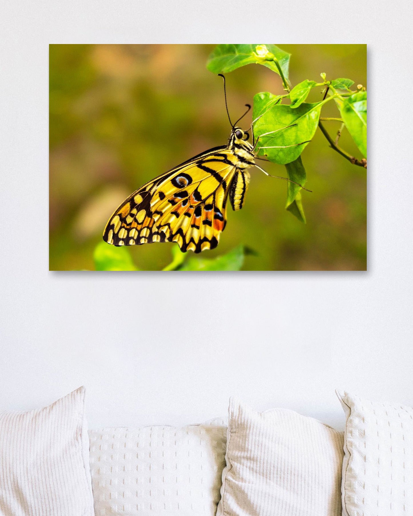 Yellow butterfly perched on a leaf - @ColorizeStudio