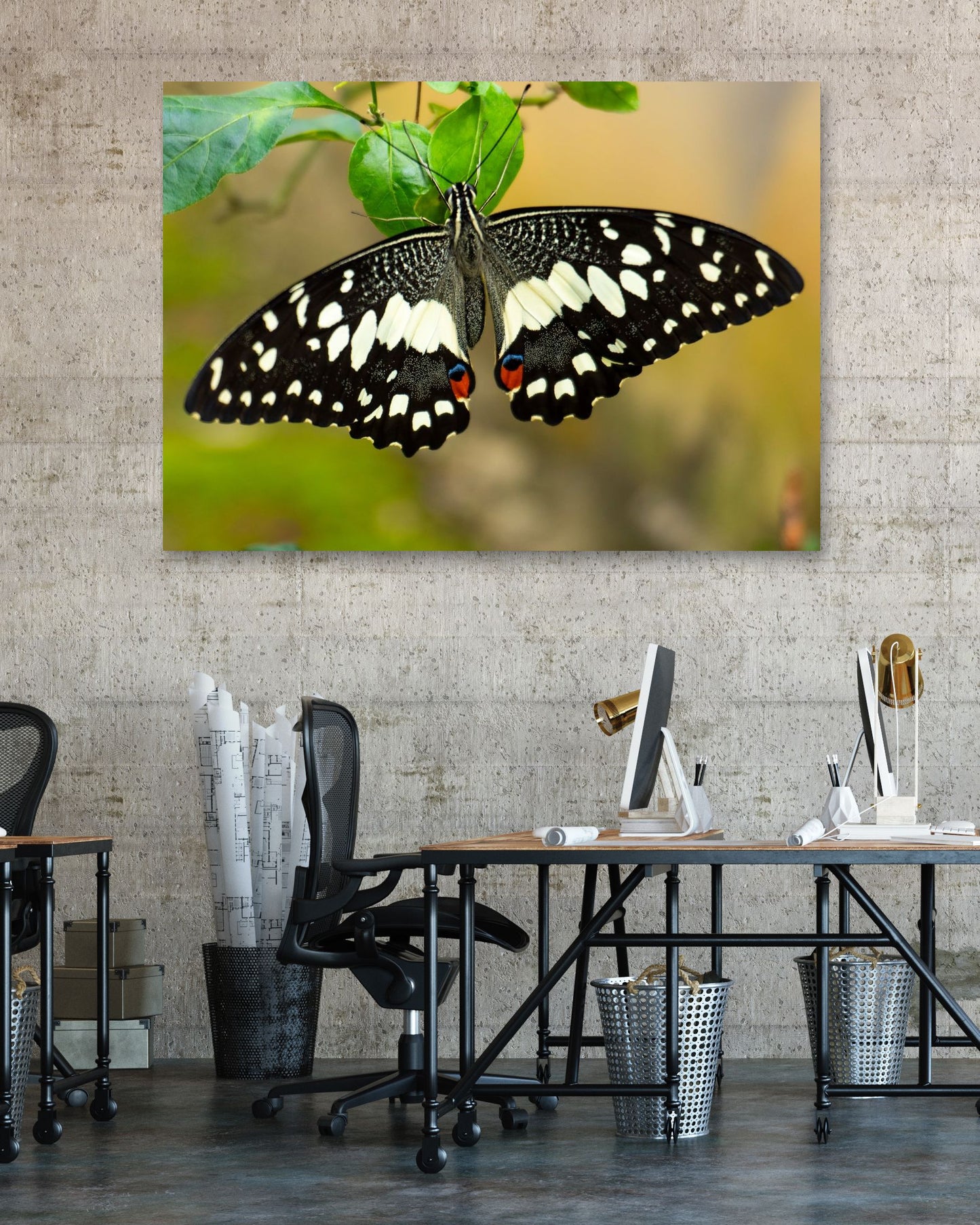 Black butterfly flapping its wings perched on a leaf - @ColorizeStudio