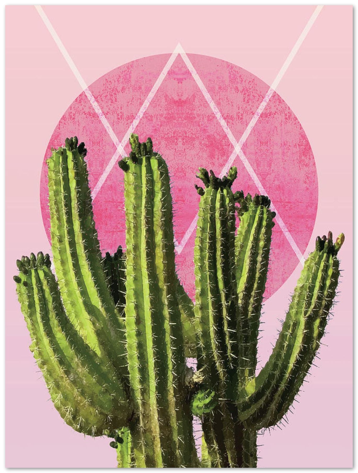 Cactus Pink - @Eastonpoison