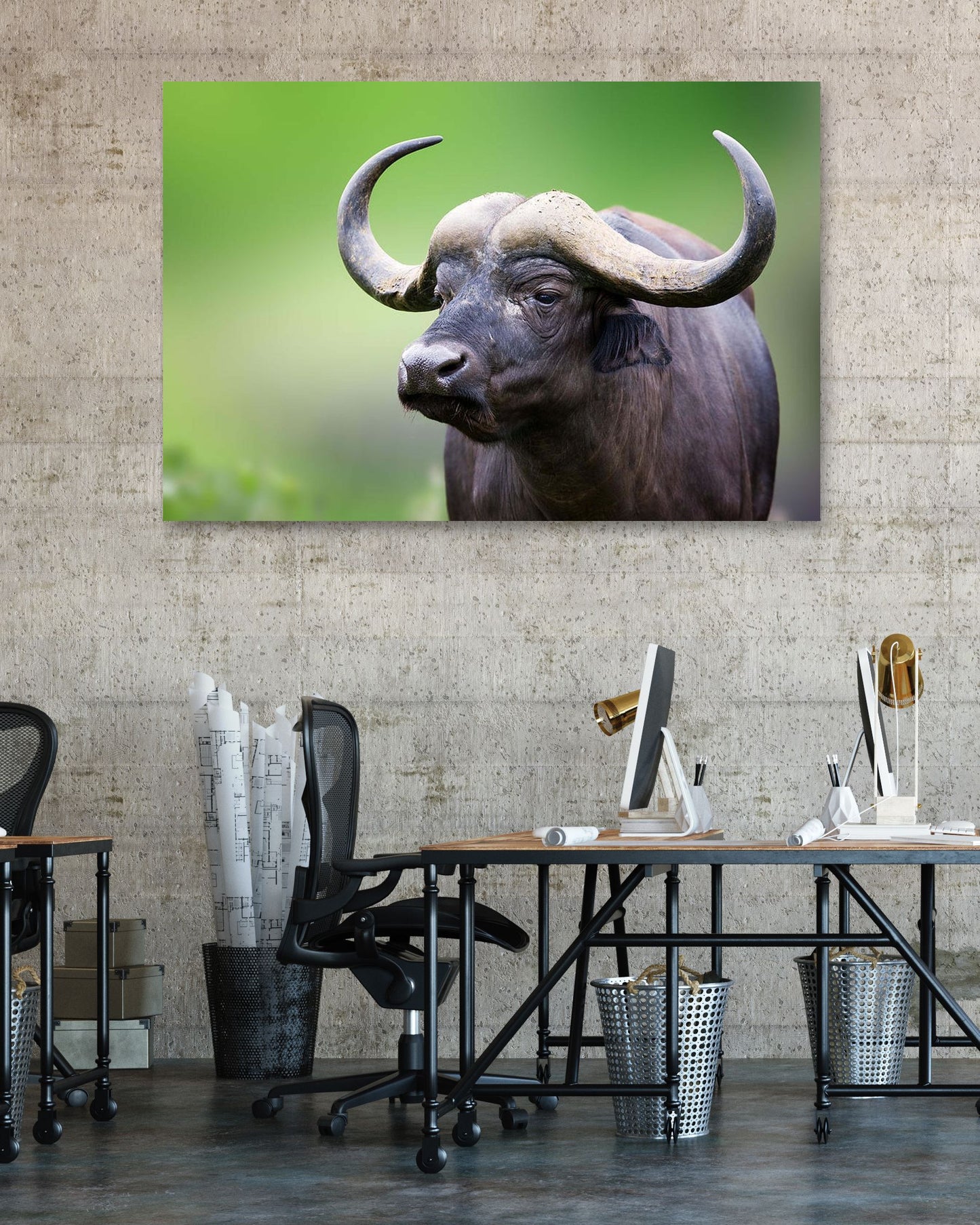 African buffalo Portrait - @chusna