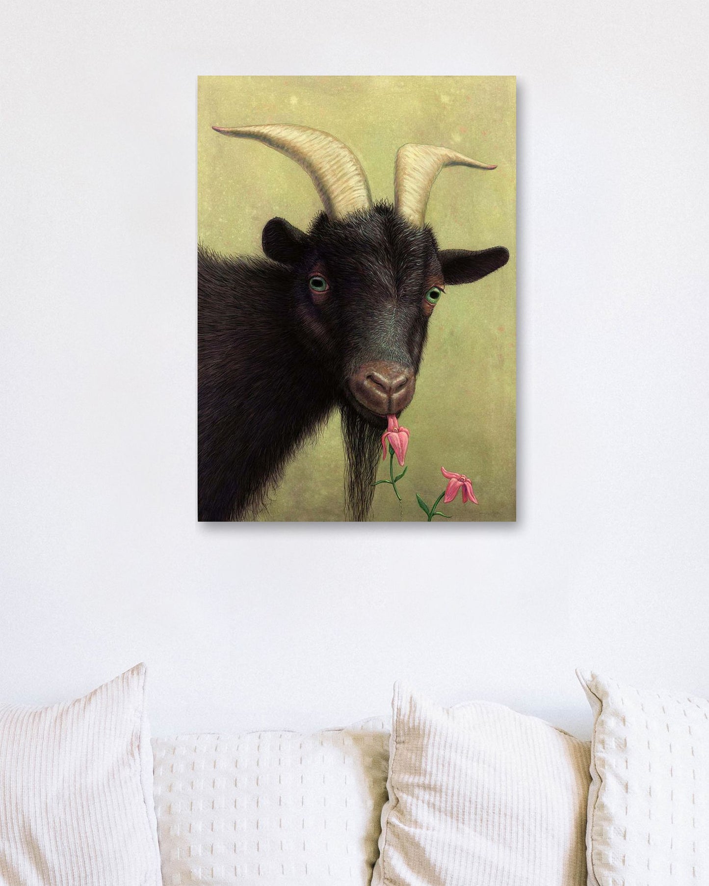 A Black Goat enjoying a Pink Flower - @chusna