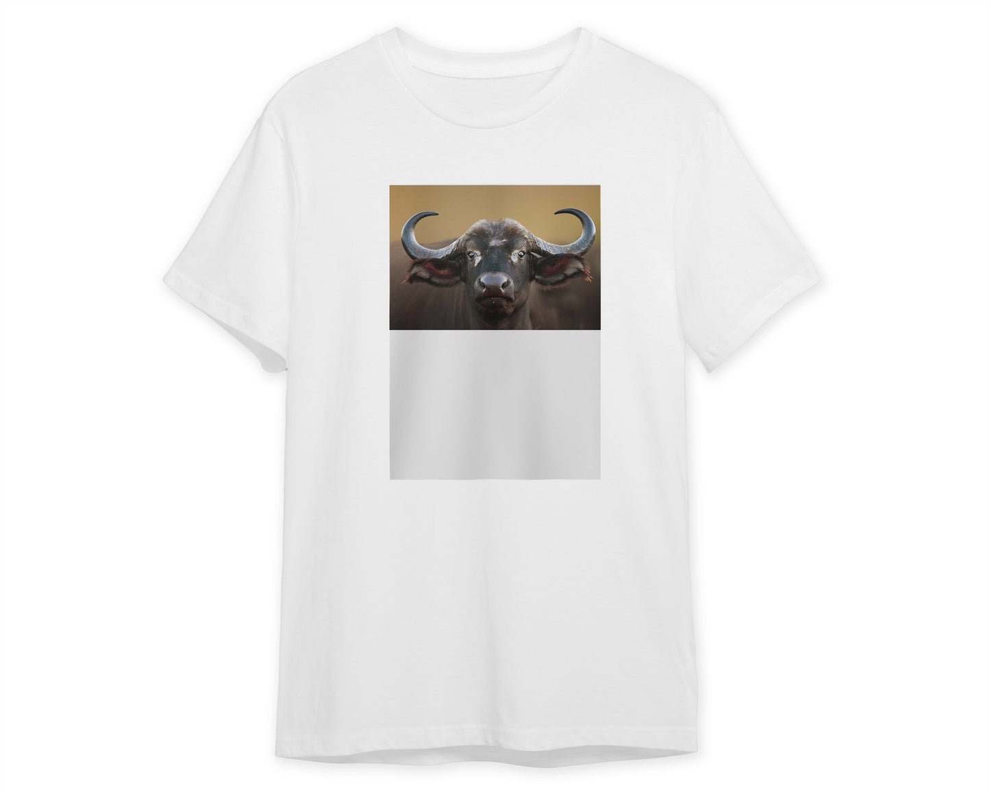 African buffalo Cow Portrait - @chusna