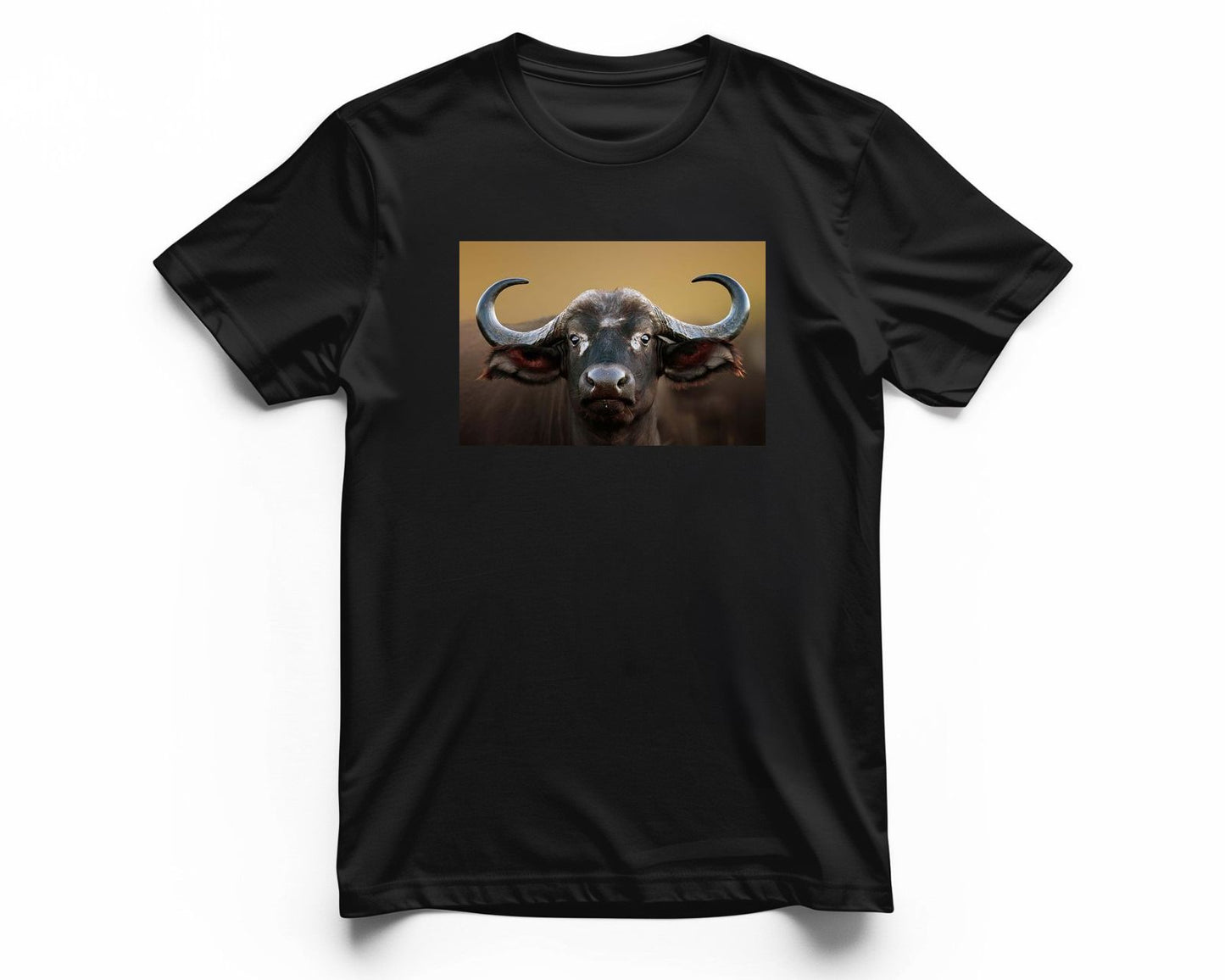 African buffalo Cow Portrait - @chusna