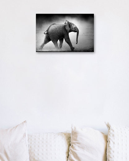 Baby Elephant 3 - @chusna
