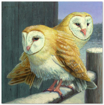 Barn Owl Couple - @chusna